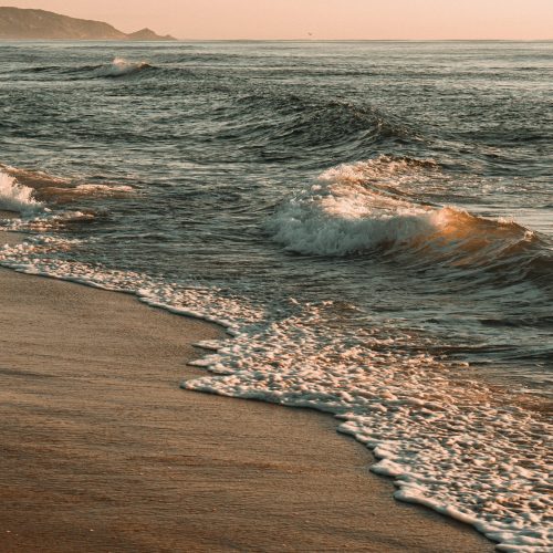 henrique-hanemann-Ha4Mrwo04C8-unsplash henrique-hanemann-Ha4Mrwo04C8-unsplash